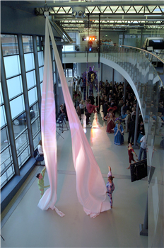 The Ariel Gallery
