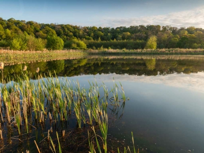 Brockholes: The UK’s First Floating Venue