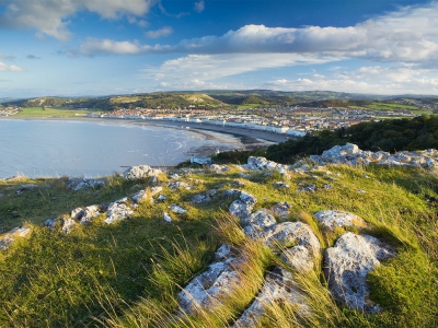 Venue Cymru