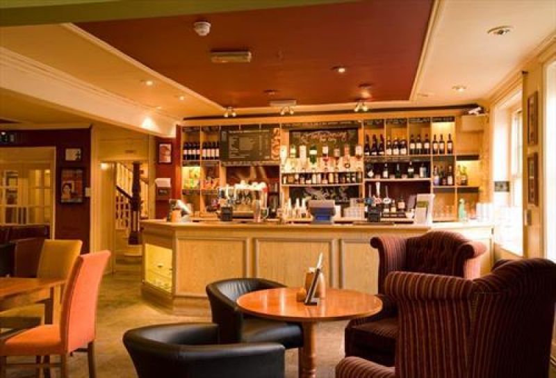 The Swan